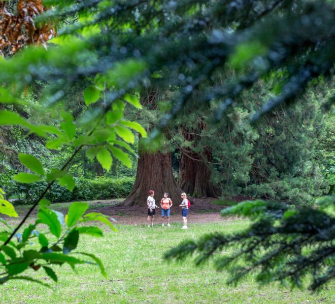 Parc_Thermal_1343